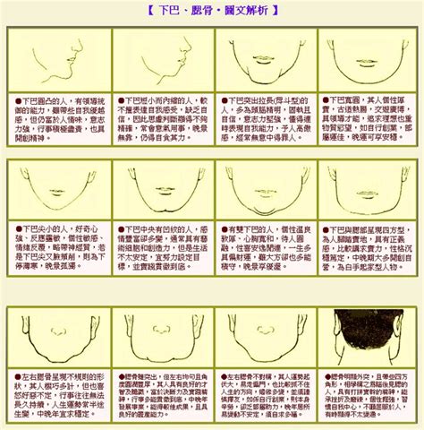 圓下巴面相|下巴面相｜9種解析：雙下巴注定貴婦命，下巴兜兜晚年無憂，姻 